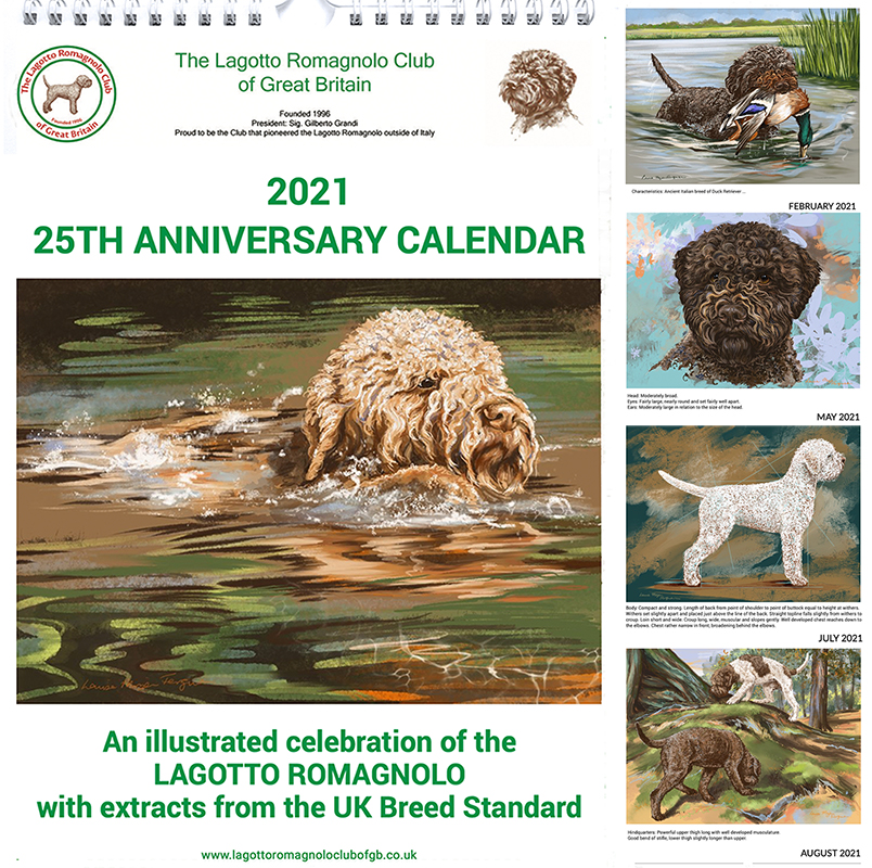 25th Anniversary Calendar 21 The Lagotto Romagnolo Club Of Great Britain
