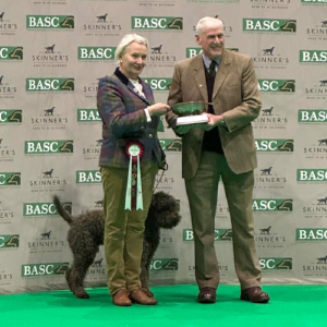 Dario Della Caveja - 1st in the AOV Sporting Spaniels Gamekeepers Class for Working Gundogs (Dogs), winning The Sportsmal Game Feeds Trophy