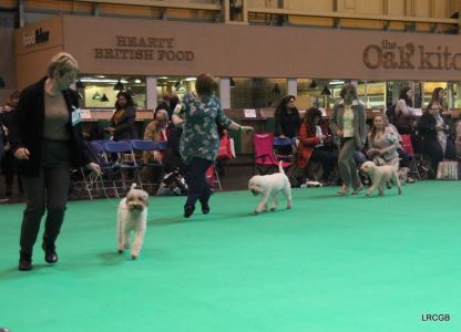 Crufts