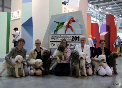 Club Team at World Dog Show in Milan 2015