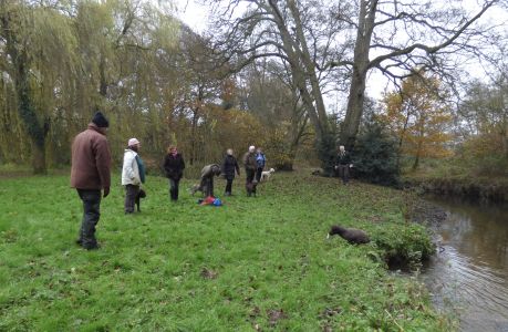 First gundog training session with Chris Page 2016