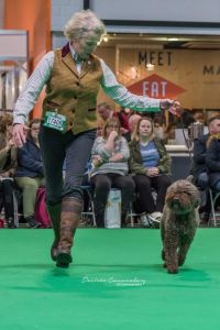 Photography by Desirée Couwenberg