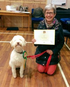 Tosca looking very pleased with herself, having passed her Kennel Club Good Citizen Gold Award