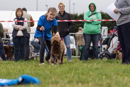 Obreedience - May with Peggy performing the 'Send to Bed' exercise