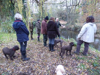 First gundog training session with Chris Page 2016