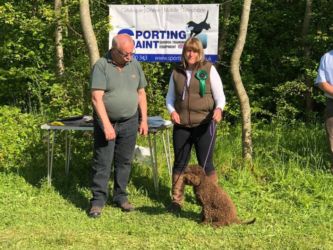 Lyn Monk and Sybil - 3rd in Puppy Class GUNDOG SEWSSC Assessment May 2018