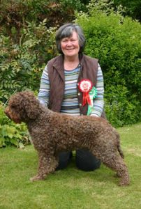 Irish Show Champion Gaesten Amazin’ Marky
Marco became Ir Sh Ch - May 2005
