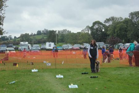 Obreedience Team South entered Rally for the first time: Dawn with Peppa Obreedience Team South entered Rally for the first time
