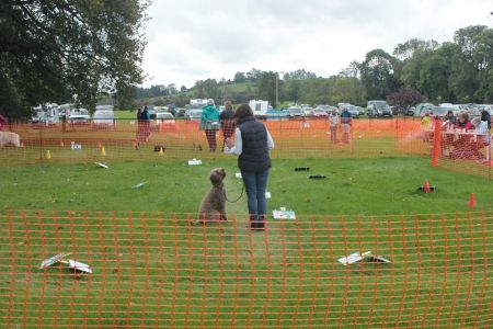 Patsy with Millie Obreedience Team South entered Rally for the first time