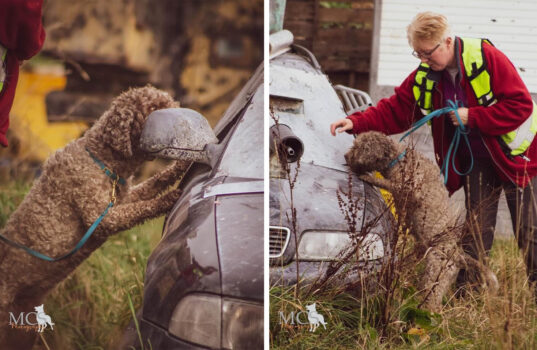 Anti Aircraft Installation in Cheshire - November 2021