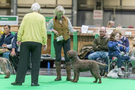 Photography by Desirée Couwenberg