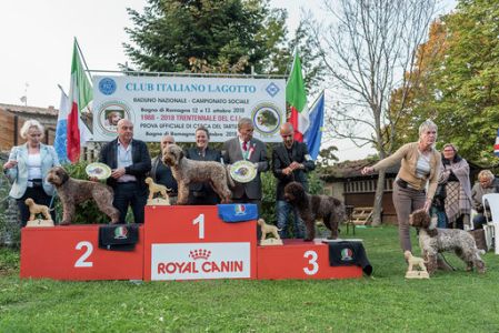 Photography by Desirée Couwenberg