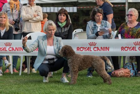 Photography by Desirée Couwenberg