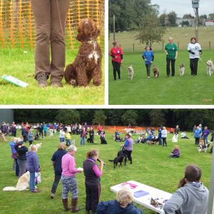 EVENT SCROLL RALLY COMPILATION