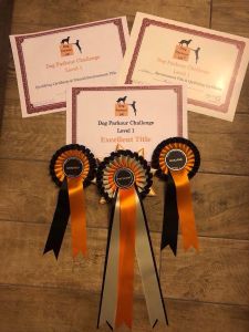 Ricco has gained his Challenge Level 1 Excellent title "DPUK-CL1EX"