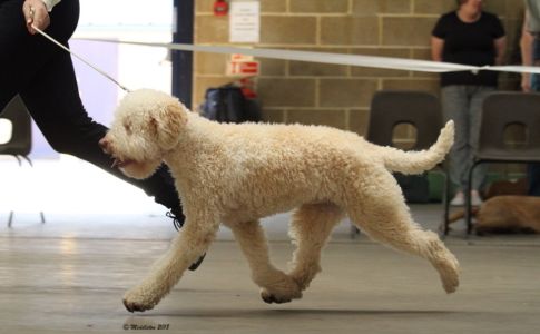 Photography by Joy Middleton