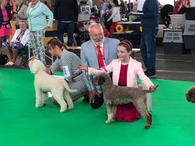 European Dog Show 2018