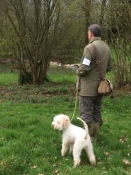 Andrew Macpherson and Gringo 2nd in Novice