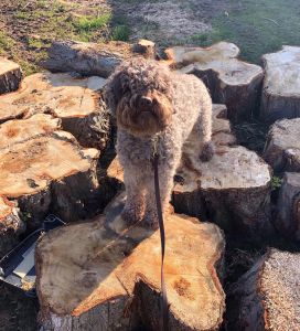 Ricco displaying the "Straddle"