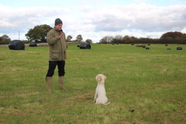 Gundog | Practice Assessment Test