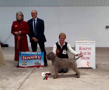 RBIS to Julie Nelson's Gaesten Zippy Zingo at Nelbekio RL4