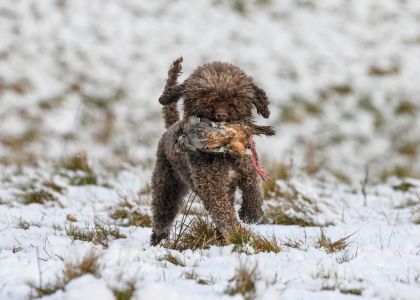 Cold Game Training Day with James Reavil | Photography by Rebelritsi Photography