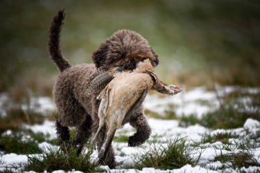 Sybil Cold Game Training Day with James Reavil | Photography by Rebelritsi Photography