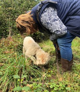 Truffling Experience