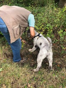 Truffling Experience