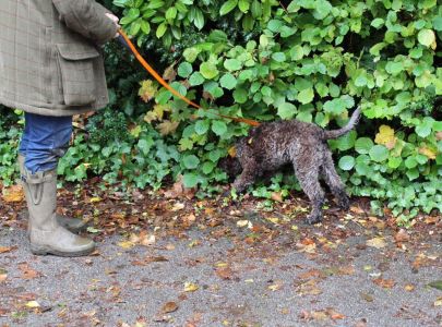 An introduction to the truffle scent before leaving for the woodland Truffling Experience