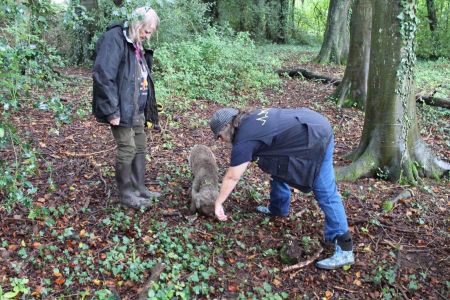 Truffling Experience