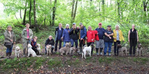 Truffling Experience