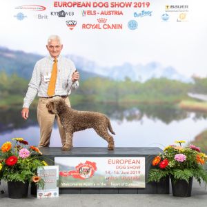 1st in Open Bitch at the Austrian Winner Show in Wels, Austria - June 2019