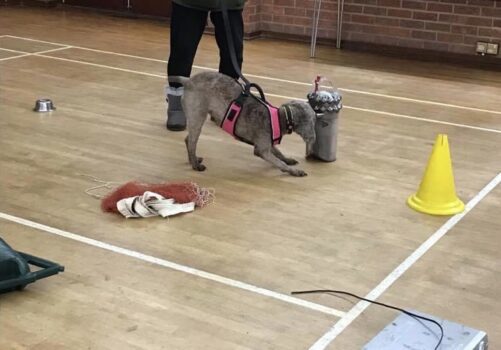 Meme finding and indicating the scent (on a vacuum cylinder!)