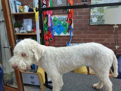 "THAT" LOOK<BR>JUDGE'S COMMENTS: "Definitely got that sideways look!"