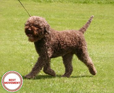 BEST MOVEMENT: Lottie