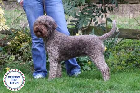 RESERVE BEST BITCH: Lottie