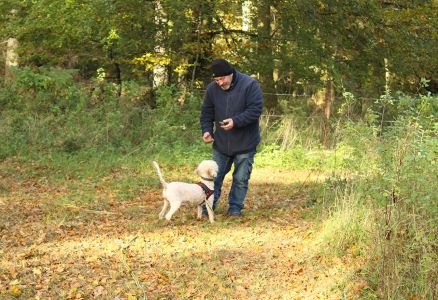 Truffle Course November 2021