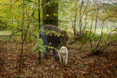 Truffle Course November 2021