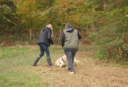 Truffle Course November 2021