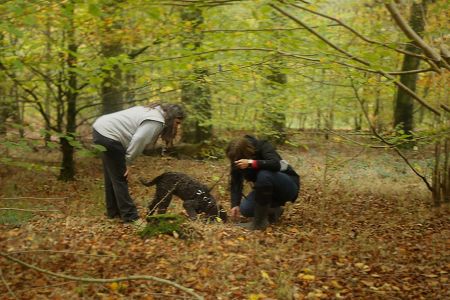 Truffle Course November 2021