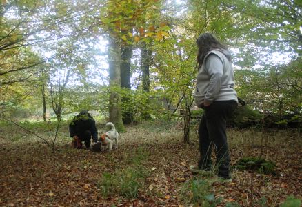 Truffle Course November 2021