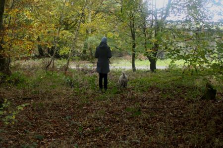 Truffle Course November 2021