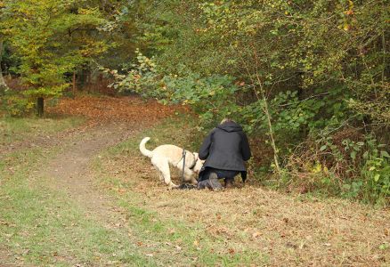 Truffle Course November 2021
