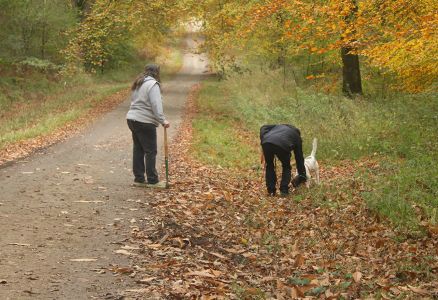 Truffle Course November 2021