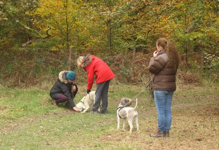Truffle Course November 2021