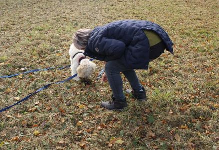 Truffle Course November 2021