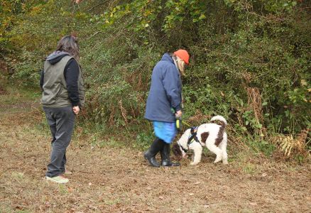 Truffle Course November 2021