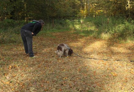 Truffle Course November 2021