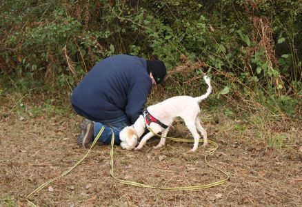 Truffle Course November 2021